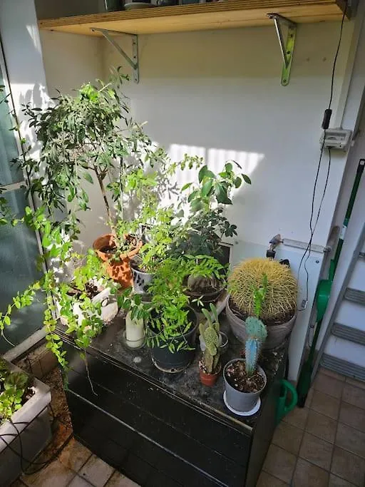 Two Bedrooms Design Apartment In The Heart Of Padua 0*, Padova Olaszország